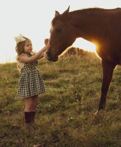 horse, sunset, girl litening